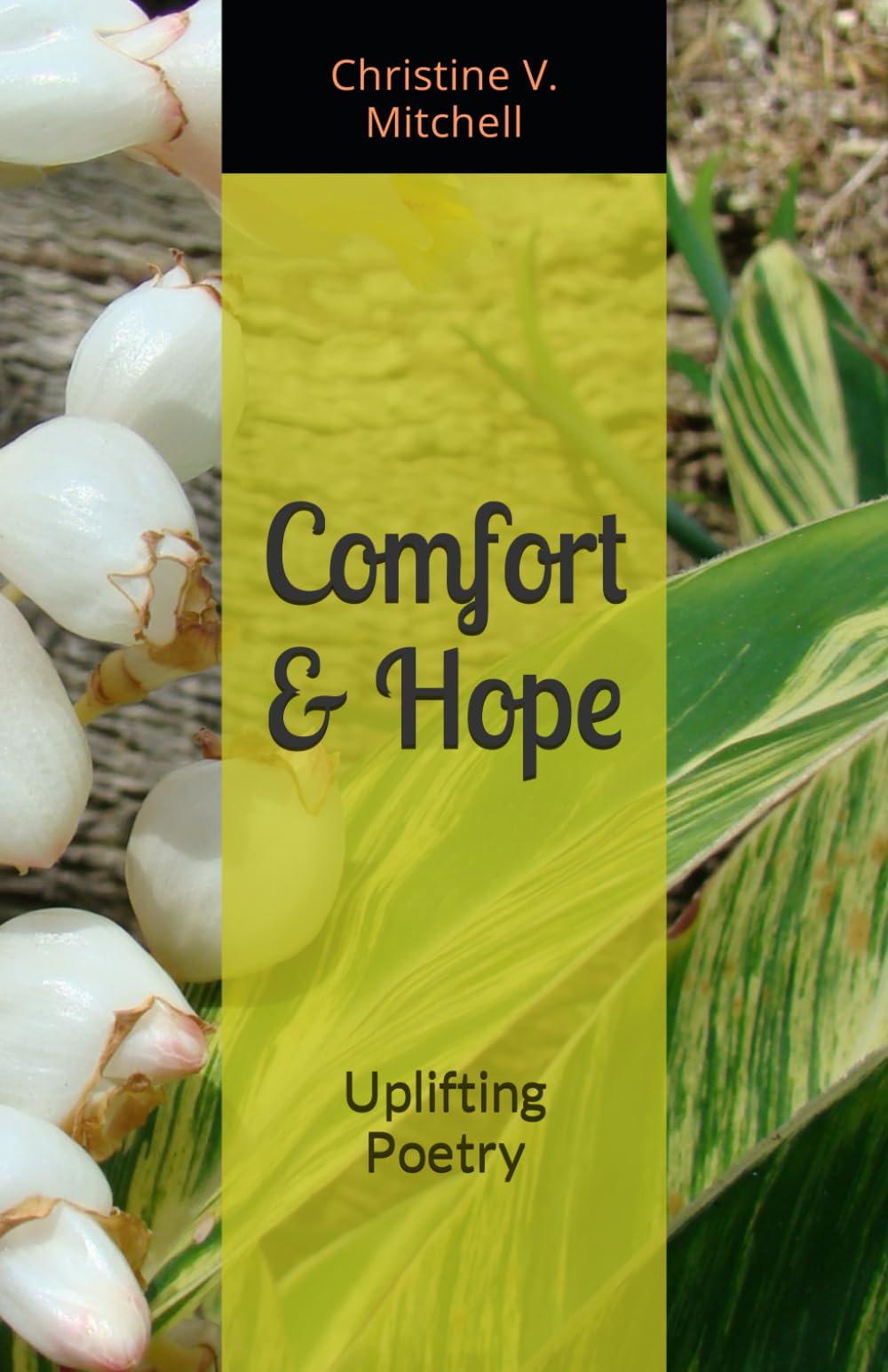 Comfort & Hope: Uplifting Poetry