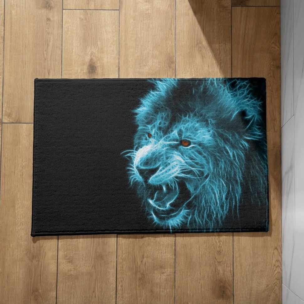 Paillasson fin 50x80cm CEVAN tapis de porte antidérapant d'entrée