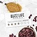 Better Buzz Life Blend (Buzz Life) Whole Bean Coffee Medium Roast, 12 Ounce (Pack of 1), Small Batch Roasted Arabica Coffee Beans, Dark Chocolate Notes