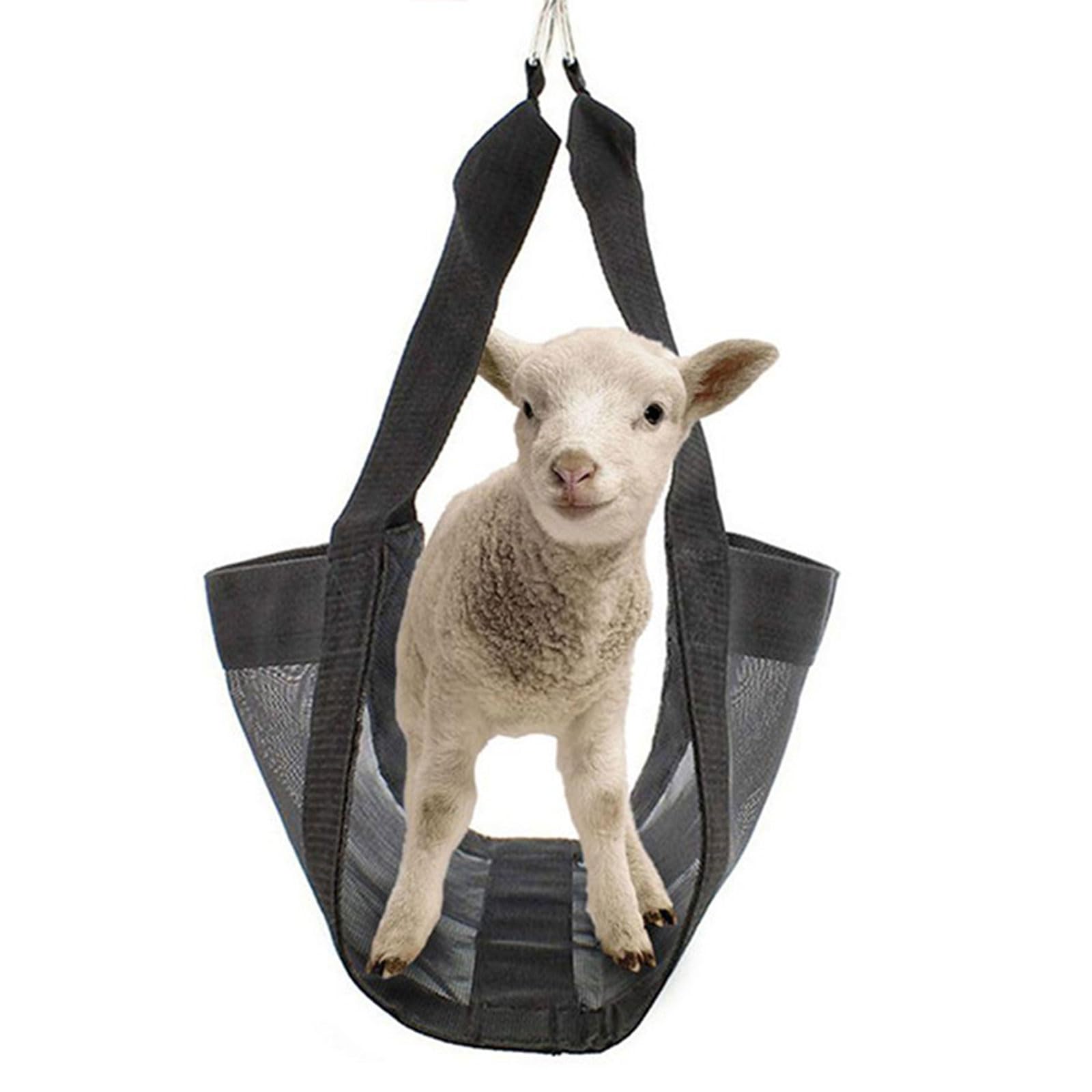 Báscula de ternera para pesar animales, báscula de ternera para colgar, cómoda para pesar terneros, cerdos, cabras, bebés