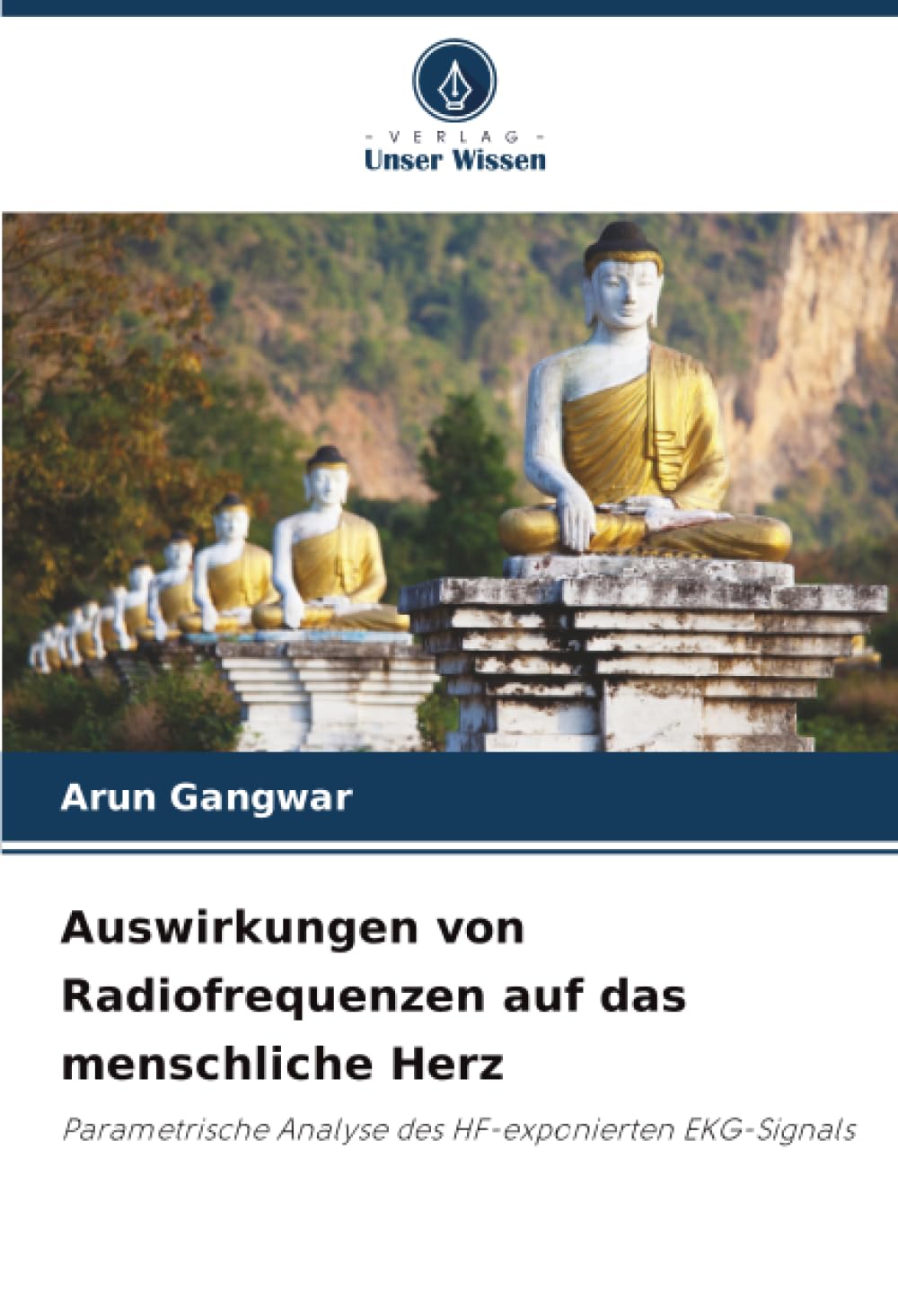 Auswirkungen von Radiofrequenzen auf das menschliche Herz: Parametrische Analyse des HF-exponierten EKG-Signals