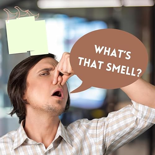 Miniatura 4 de Tarjetas de broma apestosas  Air Un-Fresheners  Huele a olor corporal desagradable  Ocultarlas en cualquier lugar  Regalo de broma hilarantemente