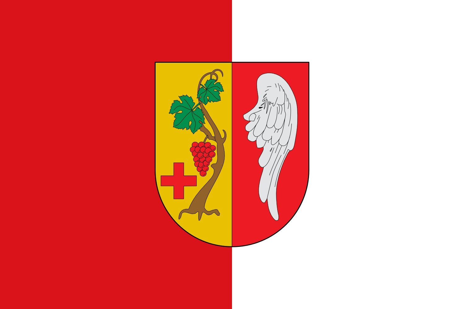 Drapeau large Vinaròs de la Communauté valencienne pour mât de mairie