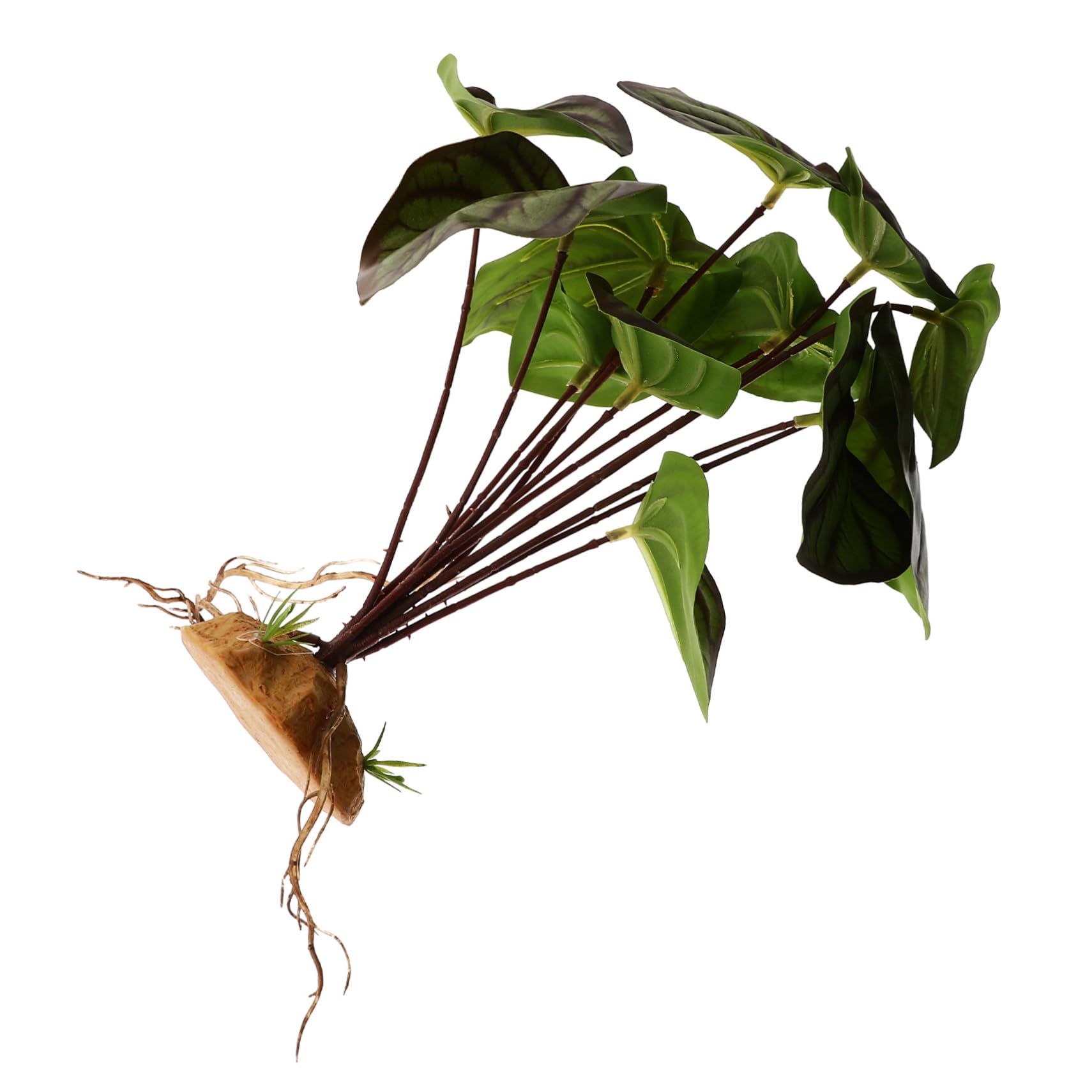 balacoo Reptile Plants for Terrarium Aquarium Landscaping Ornament Fish Tank Decoration