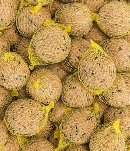 Dehner Natura Premium Meisenknödel mit Netz, ganzjähriges Wildvogelfutter proteinreich / energiereich, hochwertiges Vogelfutter für Wildvögel, 30 Stück je 90 g (2.7 kg)