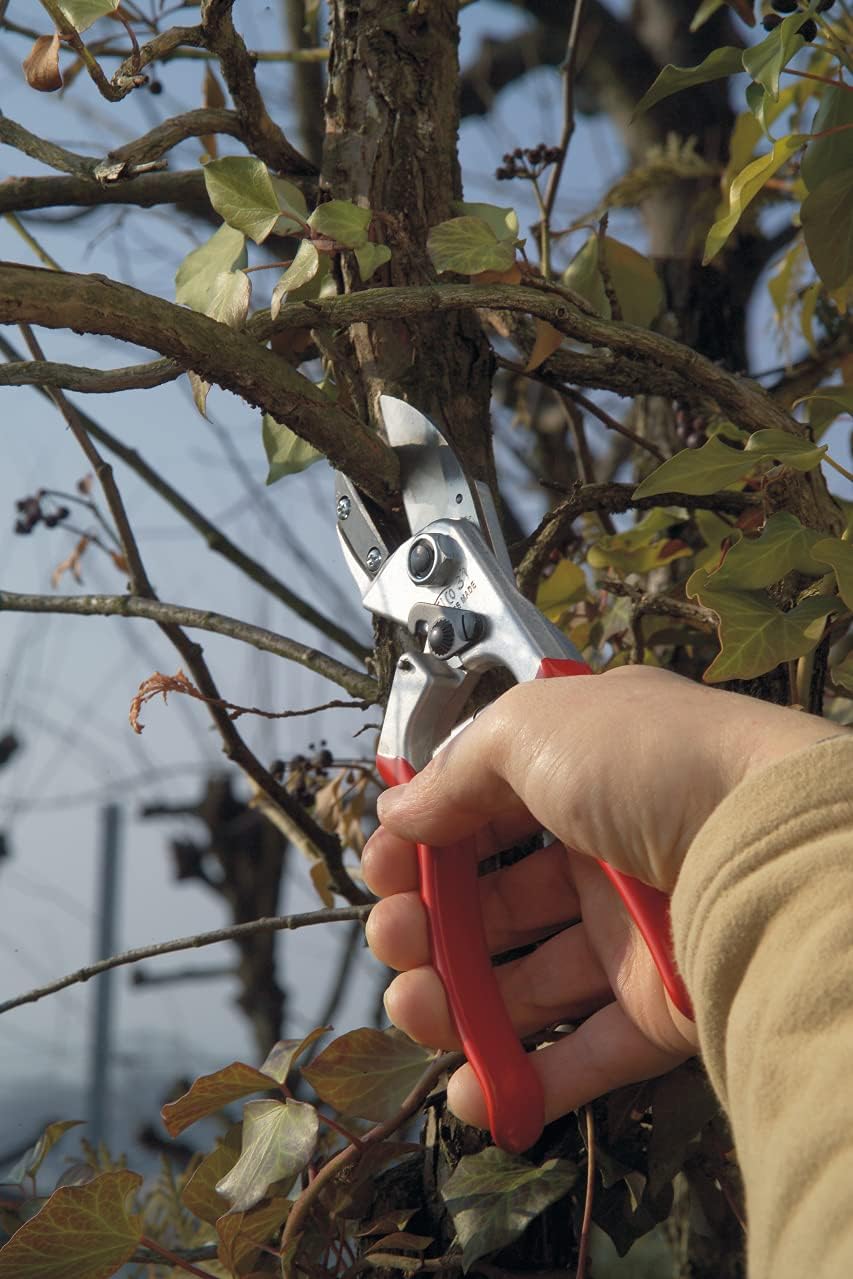 Free Shipping 🛒 Felco Pruning Shears (F 31) - High Performance Swiss Made One-Hand Anvil Garden Pruners