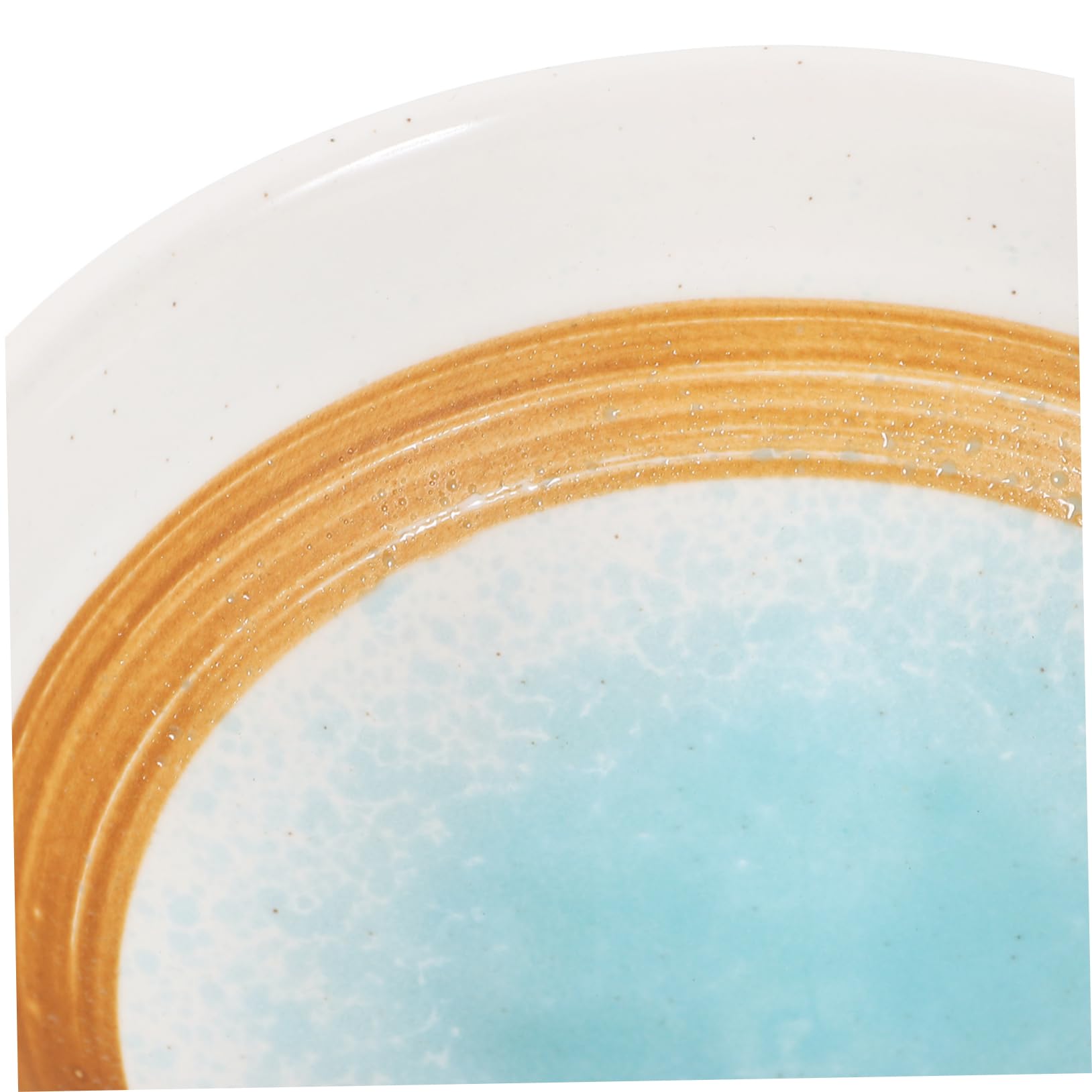 SOLUSTRE Ceramic Sauce Bowl Multi Functional Compartment Dish for Appetizers Seasonings and Candy for Restaurants Hotels and Home Use Stylish