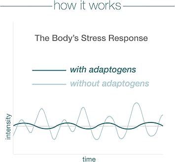 Original Organic Ashwagandha Supplement | KSM-66 Ashwagandha | 1000mg Daily | USDA Organic, Non-GMO, Gluten-Free