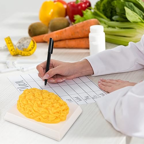 Miniatura 7 de SimCoach Réplica de grasa corporal humana de 1 libra con base de visualización, motivación y recordatorio de pérdida de peso, modelo de demostración