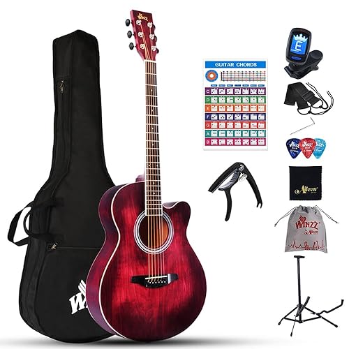 Winzz Guitare Acoustique Adulte, Guitare Folk Débutant, Guitare Country et