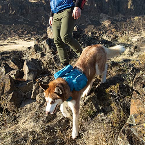 Kurgo RSG, Wasserflasche für Hunde, abnehmbare Tasche, kompatibel mit MOLLE, Befestigung für Diensthundegeschirr, Blau