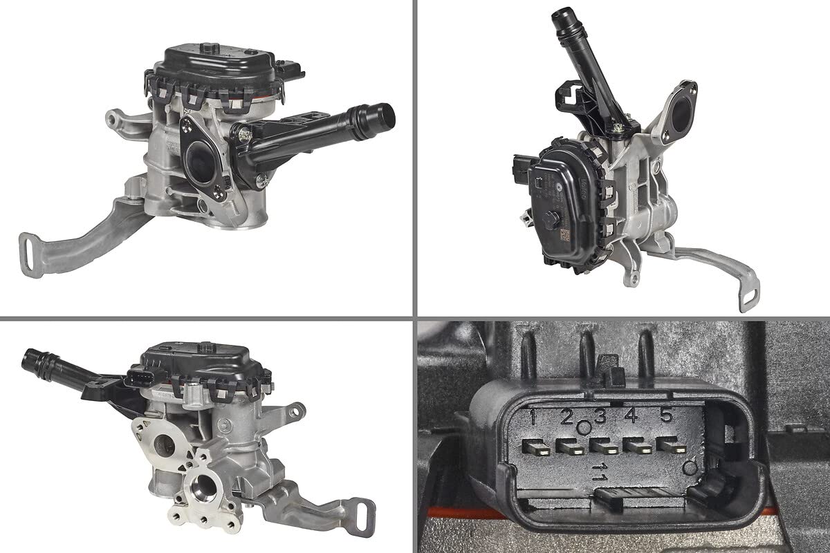 Valeo AGR-Ventil 700455