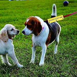   Emergency-Medical-Dog-Leash-Sleeve-Epilepsy-Alert-Dog-Dog-Leash-Hanging-ID-Patch-Tag-Medical-Alert-Gift-Epilepsy-Alert-YE-Sleeve