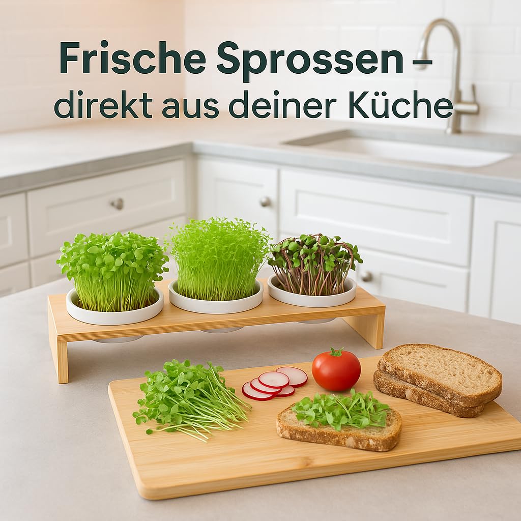 Glücksmoment Kressebank 42cm mit 3 Keramik Kresse Anzuchtschalen für Kressesamen, Sprossen & Microgreens, Sprossen Anzuchtset, Anzuchtregal, 3 Anzuchttöpfe, 3 x Keimschale mit Kressesieb, Keimschalen