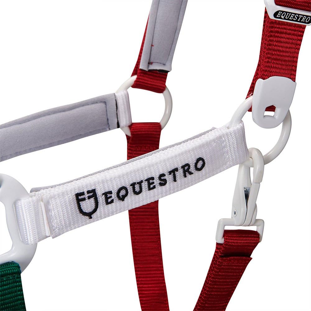 CAVEZZA "FLAGGY" E LUNGHINA (COB, VERDE/BIANCO/ROSSO)