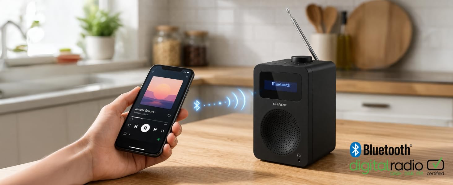 SHARP DR430 Radio numérique Portable (Dab/Dab+/FM avec RDS, Bluetooth 5.0, Jack 3,5 mm, 5 W, Fonctionnement sur Piles), Noir