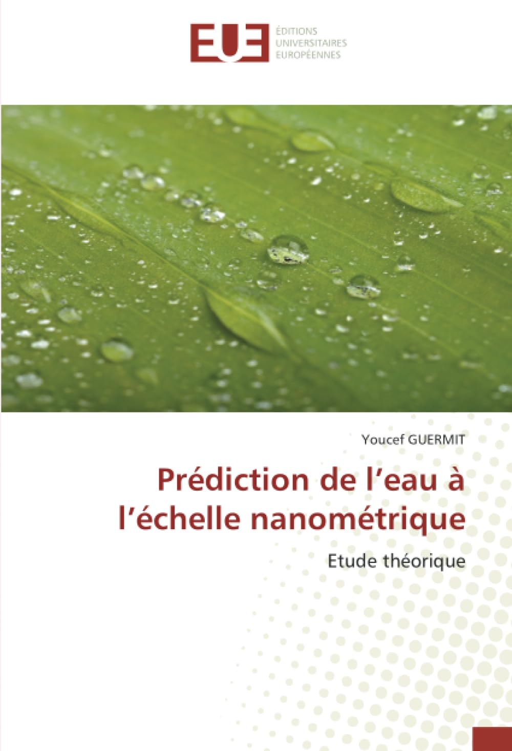 Prédiction de l’eau à l’échelle nanométrique: Etude théorique