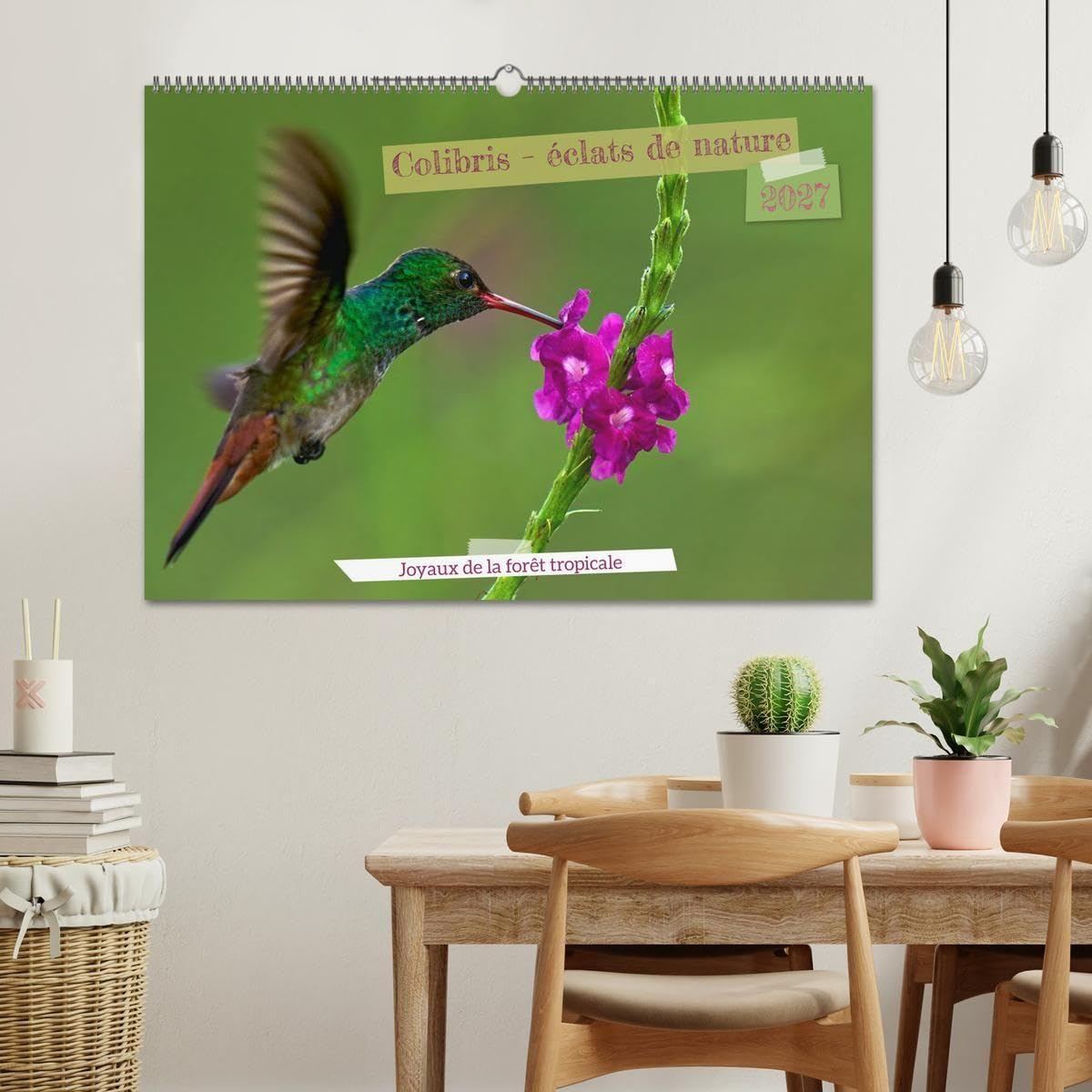 Colibris - éclats de nature (Calendrier mural 2027 DIN A2 vertical), CALVENDO calendrier mensuel: Joyaux de la forêt tropicale