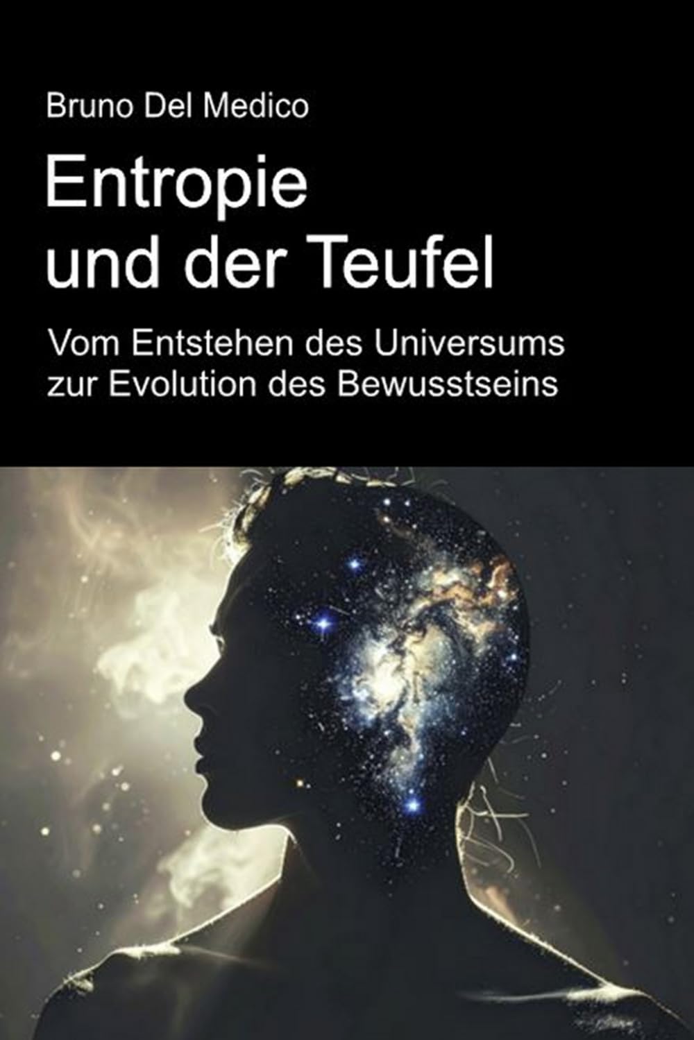 Entropie und der Teufel. Vom Entstehen des Universums zur Evolution des Bewusstseins.: Essay über die kreative Unordnung des Universums und des ... Bruno Del Medico in deutscher Sprache. (TED))