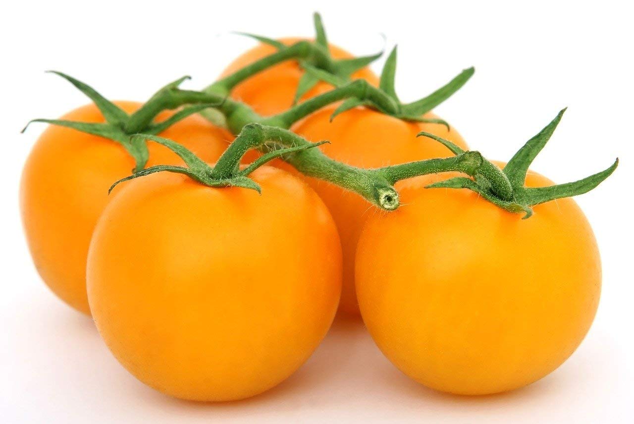 Golden Jubilee Tomato Seeds - Large Tomato - One of The Most Delicious Tomatoes for Home Growing, Non GMO - Neonicotinoid-Free.
