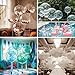 20pc Clear Bobo Balloons for Stuffing With Confetti, 20 inch Bubble Pool Ballons, Stretchable Plastic Balloons for Party, Birthday & Wedding, Boho, Under the Sea Decorations
