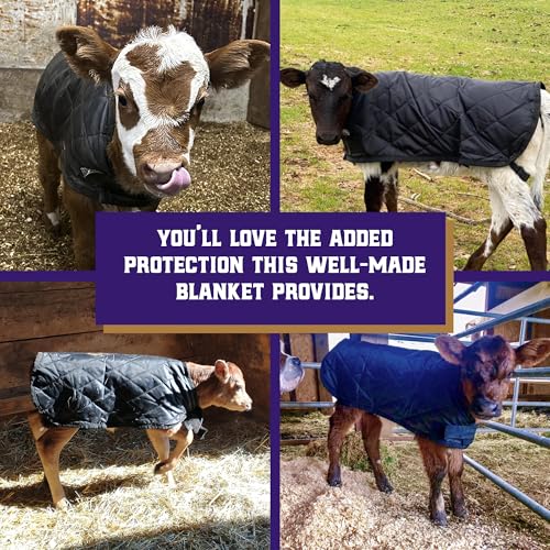 Image of Weaver Livestock Warming Calf Blanket for Winter, Quilted Calf Coat with Buckle, Belly Protecting Livestock Shelter Blanket for Small Cattle