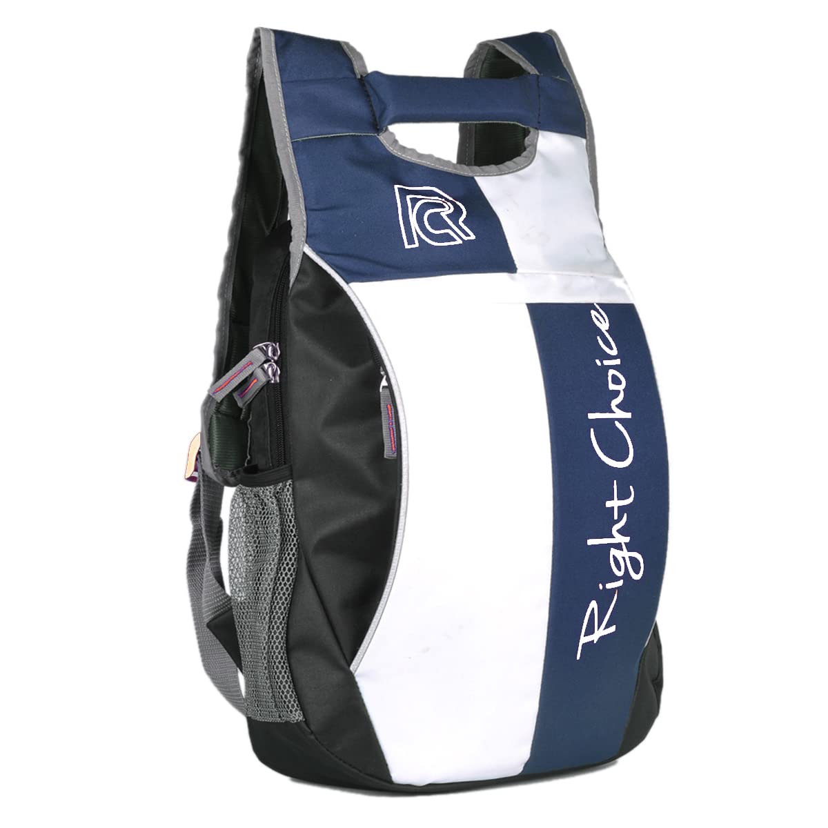 RIGHT CHOICE Backpack Stylish Daily Use Unisex Laptop Backpack Travel Backpack College Backpack for Men and Women for 14 Laptops (B091YR9XXP) Amazon Price History, Amazon Price Tracker