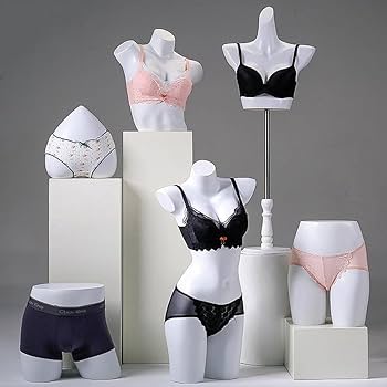 美品 ◾️女性 レディース マネキンボディー / ディスプレイ 撮影 店舗什器 Amazon.co.jp: マネキン ディスプレイスタンド ランジェリー