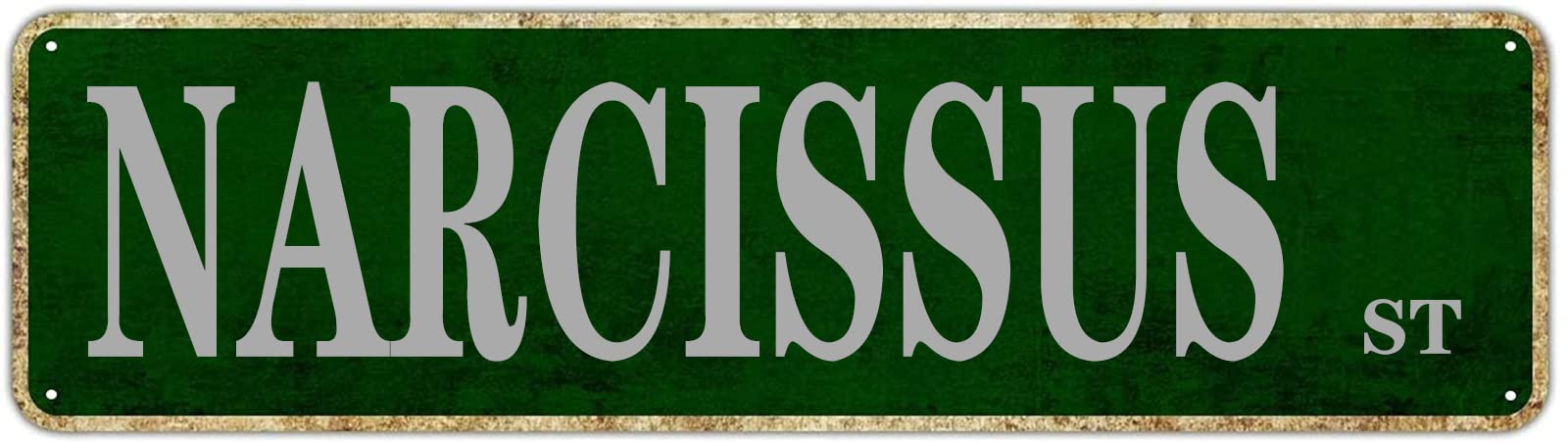 DTHNKL Metal Sign Narcissus St Vintage Retro Tin Art Plaque Aluminum for Home Bedroom Garden Wall Living Room Outdoor Pub Club Decor 4x16 Inch