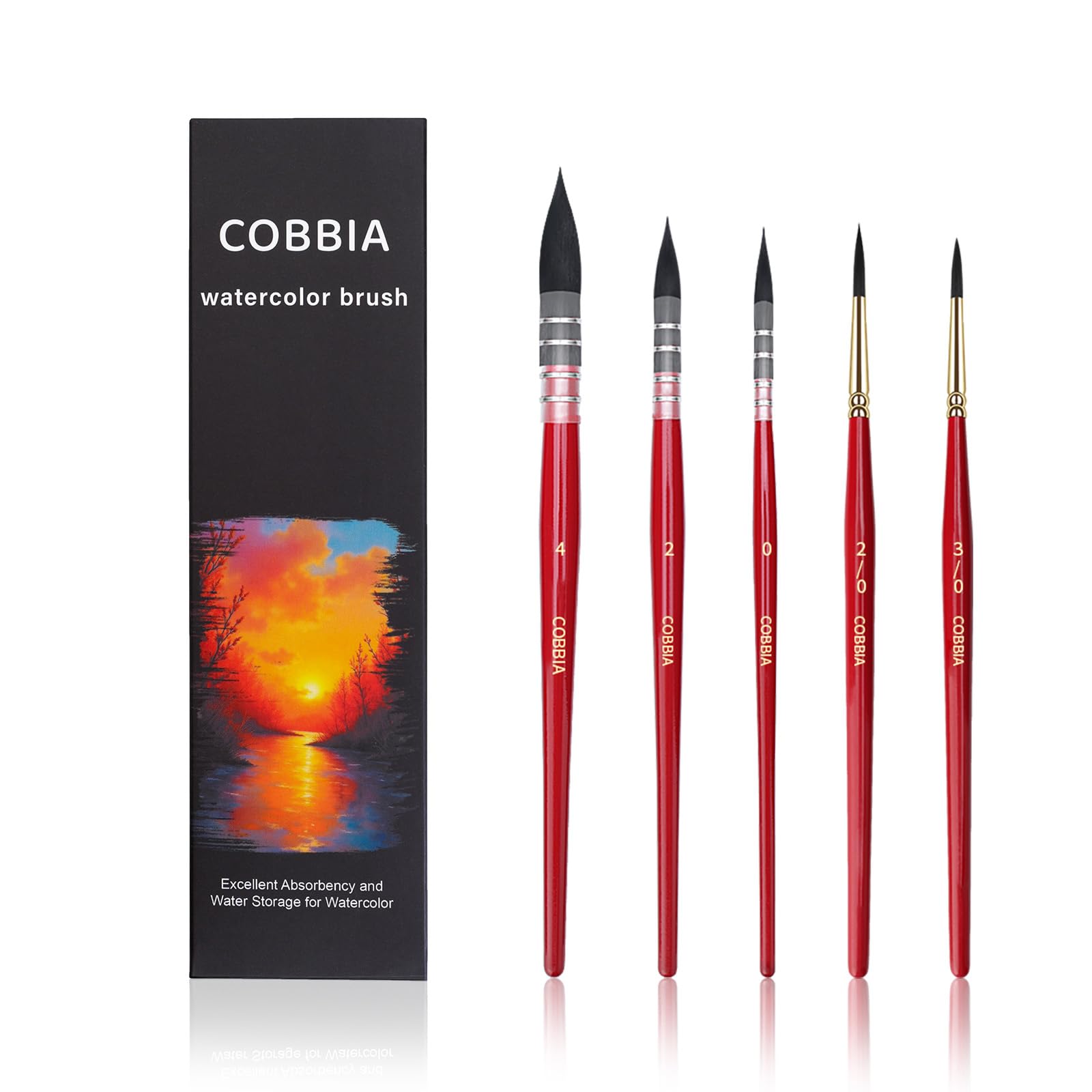 Watercolor Brush Set - 5 Synthetic Squirrel Brushes -1