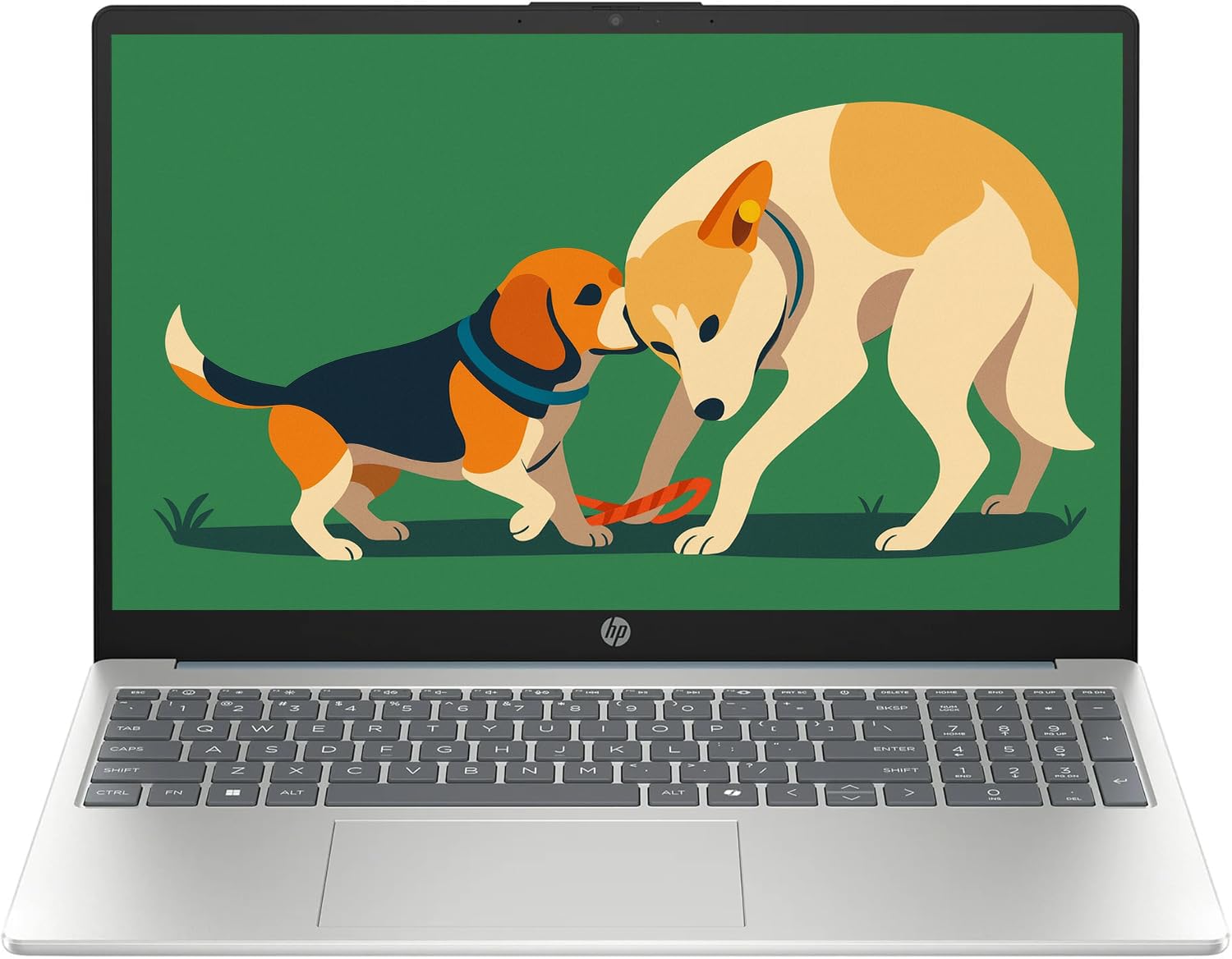 Amazon.com: HP 15.6” Touchscreen FHD IPS Laptop, Intel i3-N305