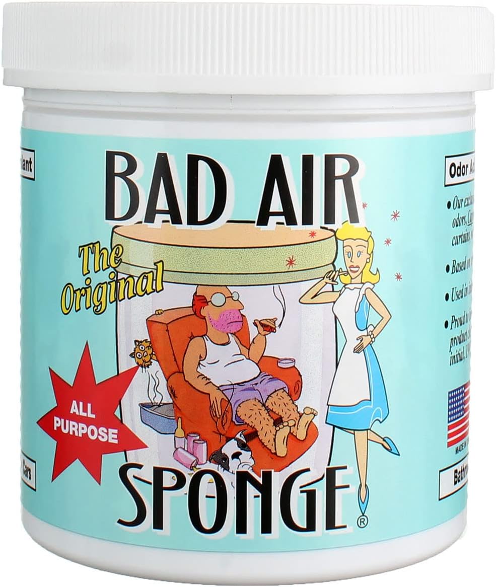The Original Bad Air Sponge with Activated Charcoal- All Purpose Odor Neutralizer & Eliminator, 14oz (Pack of 12)