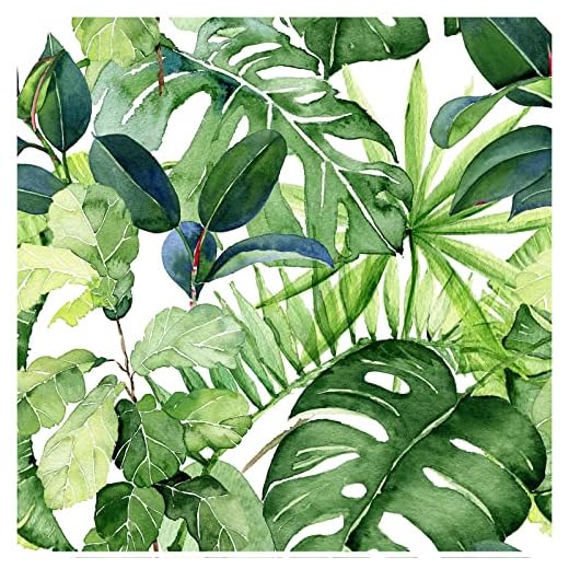 HAOKHOME 93143 Tropical Wallpaper Peel and Stick Palm Leaves Removable Stick on Home Decor 17.7in x 118in