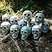Fun Express Bag of Bones Realistic Bulk Skeleton Skulls 5 Inch - Premium Halloween Skull Decor for Party, Bar & Table Decorations | White Plastic Human Skull Heads 12 Pack for Crafts & Yard Display