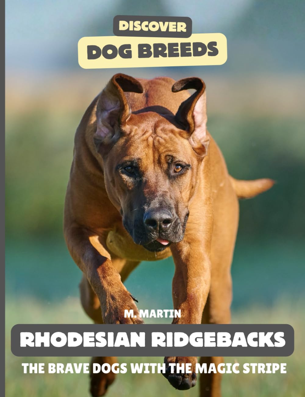 Rhodesian Ridgebacks: The Brave Dogs With the Magic Stripe (Discover Dog Breeds)