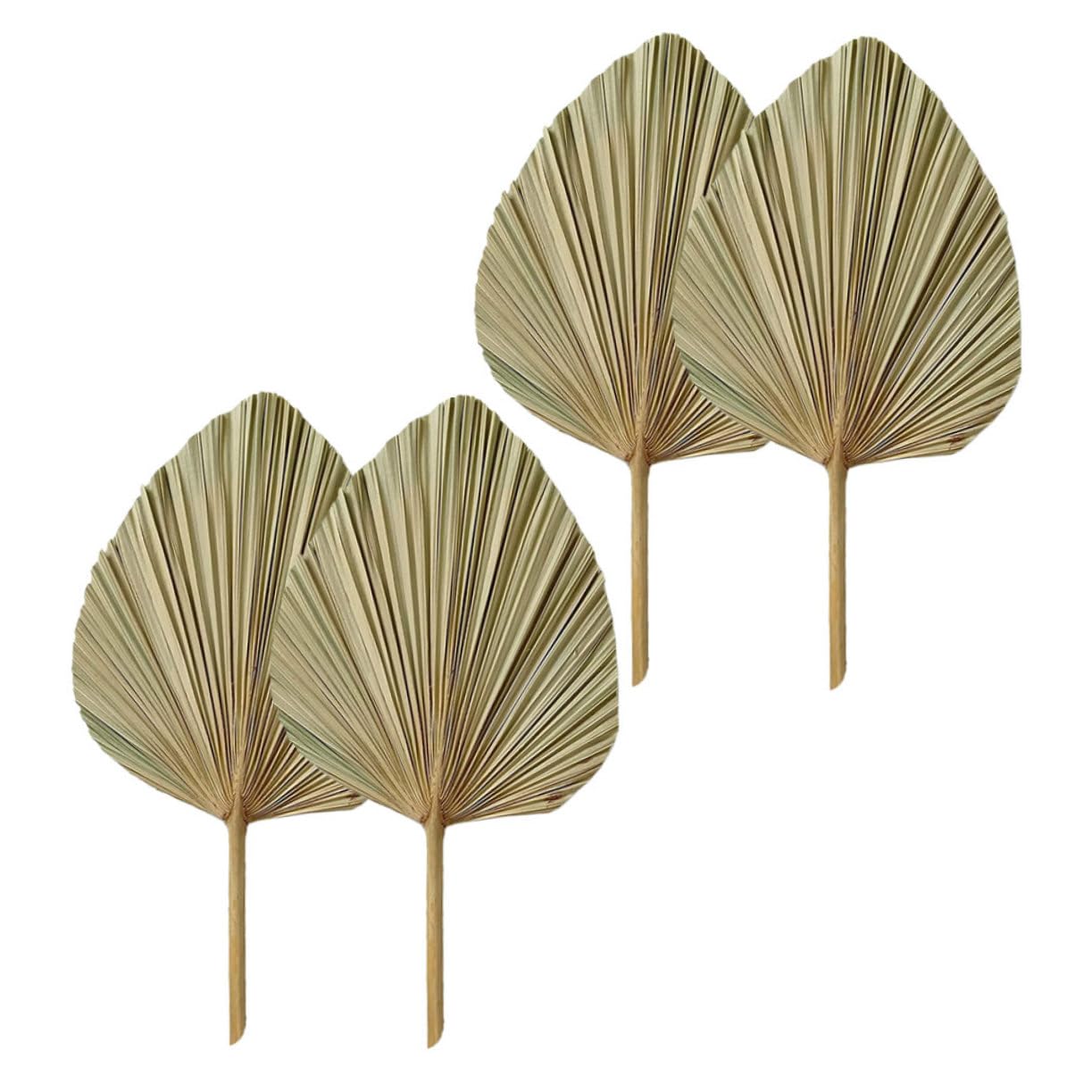 Cabilock 8 Piezas De Decoración De Hojas De Palma Abanicos De Palma Seca Accesorios para Fotos De Hojas De Palma Lanzas De Palma Secas Bohemias Decoración Boho Suministros para