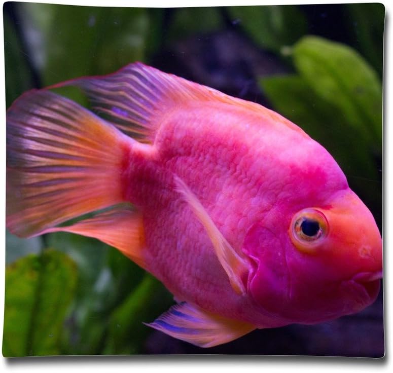 Cool Pink Goldfish Throw Pillow Case Case Two Sides Printed Size 18x18 Inch Polyester Velvet Office Decorative
