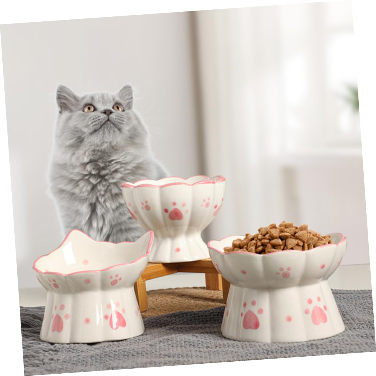Happyyami 2pezzi Ciotole Per Gatti Ceramica Rialzate Da Ciotole Per Cibo e Design Antiscivolo Per Comodo Pasto Senza Stress Facile Da Pulire e Resistente