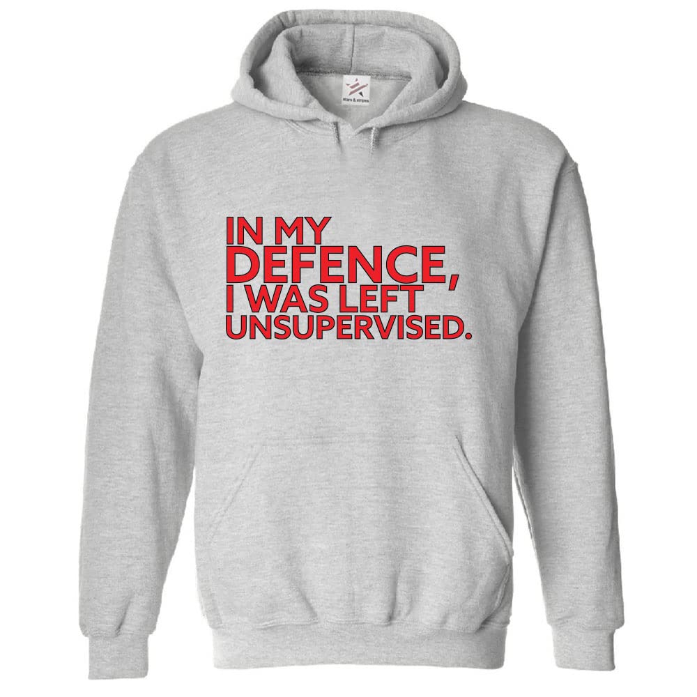 Stars and Stripes In My Defence, I Was Left Unsupervised Classic Unisex Adults Pullover Hoodie (XL, Sports Grey)