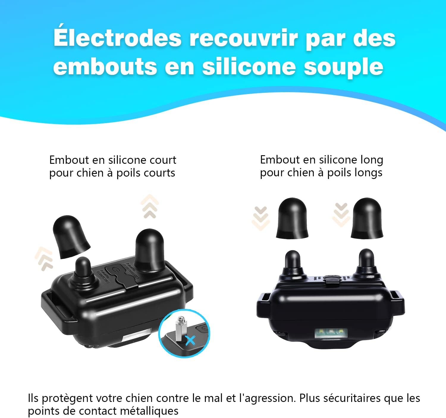 Comparaison des colliers de dressage