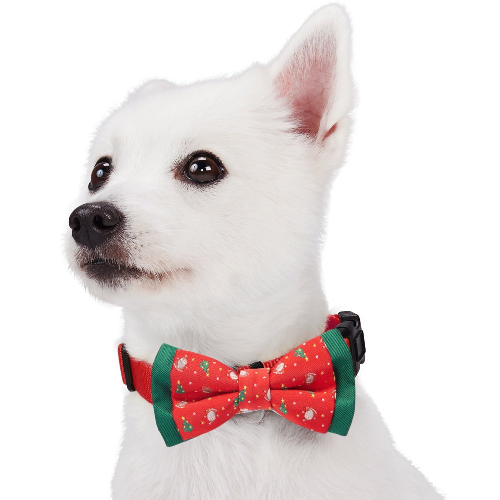 Blueberry Pet Box with Pack of 2 Handmade Dog Cat Bow Tie, Stay Festive Bowtie Set, 3