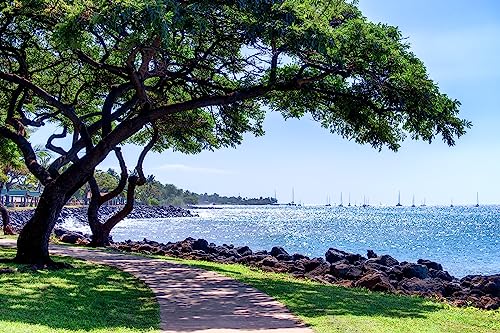 Maui J & M Photography - Lahaina Maui Hawaii Picture - Nautical Coastal Decor, Fine Art Wall Print