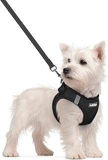 rabbitgoo Dog Harness Small Sized and Leash Set, Step in Soft Light Puppy Vest,