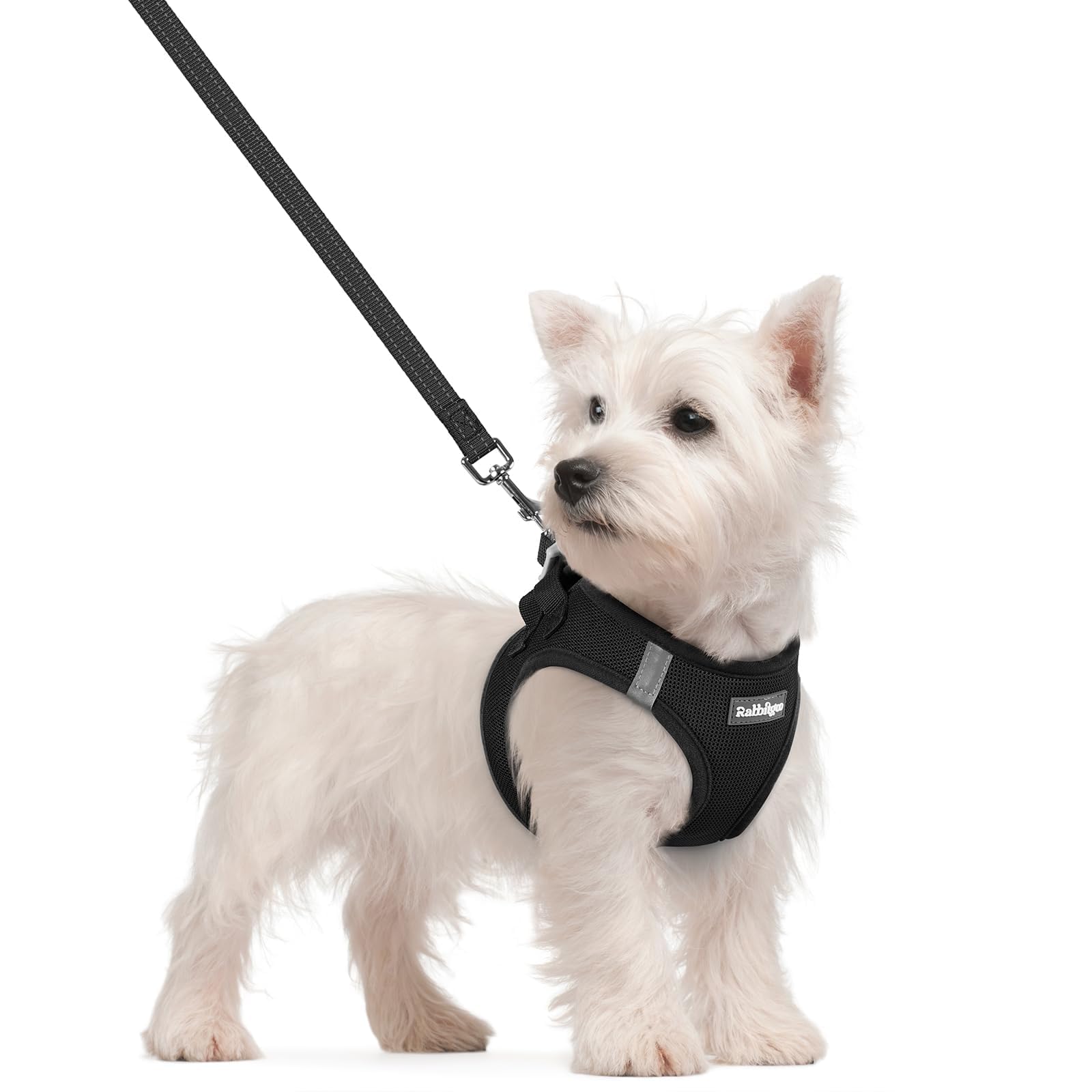 Dog Harness Small Sized and Leash Set, Step-in Puppy Pet Vest