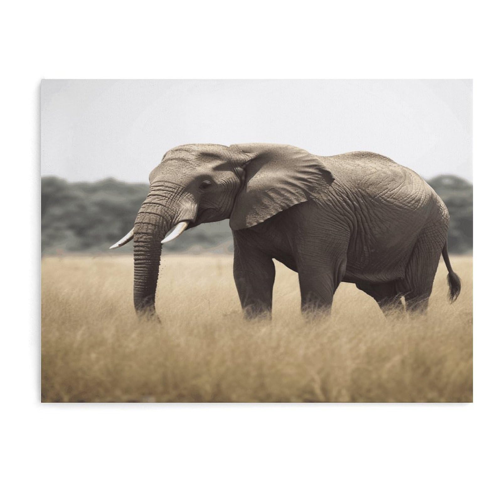 Fodpand Unframe-Style Elephant Bathroom Wall Art Canvas Prints, Artwork For Walls For Living Room Hallway Stair Office Wall Decor, Pictures Home Decor 15.7X11.8 Inch