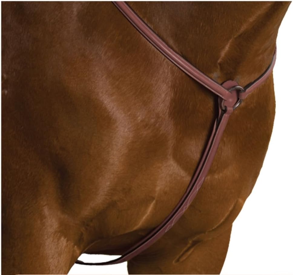 Collegiate Raised Padded Fancy Stitched Breastplate - Brown, Cob