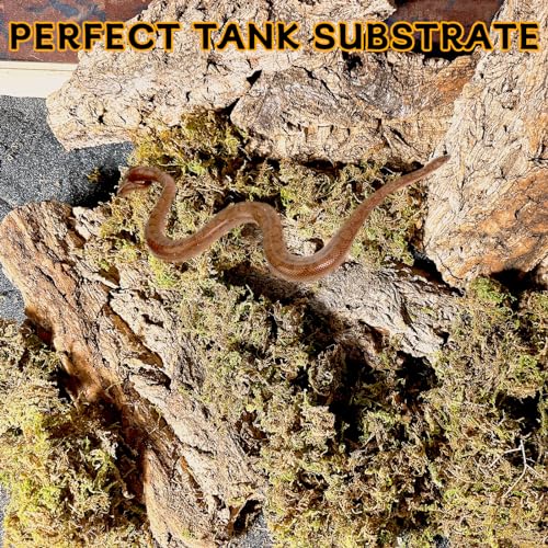 BNOSDM Reptile Terrarium Bark Substrate Bedding Tortoise Natural Cork Bark Reptile Climbing Mat Habitat Decor for Lizard Snake Spiders Hermit Crabs Tarantula Geckos Bearded Dragons - Image 9