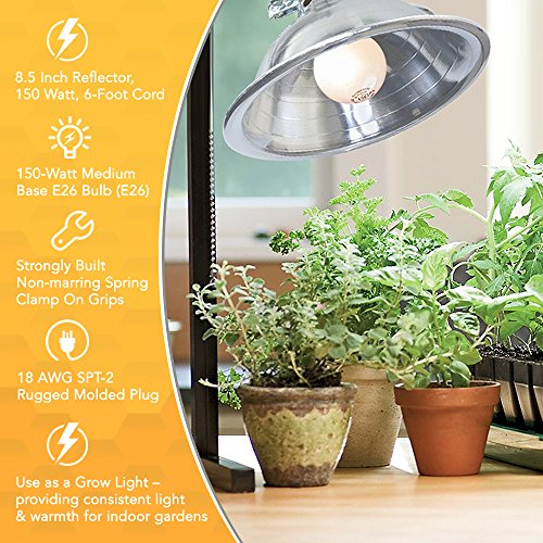 Woods 0151 151 Brooder Clamp Lamp 8.5-Inch Aluminum Reflector, Bulb Guard 150-Watt Portable Light Source, 6-Foot Cord, 8.5 Inch, Red #TOP3