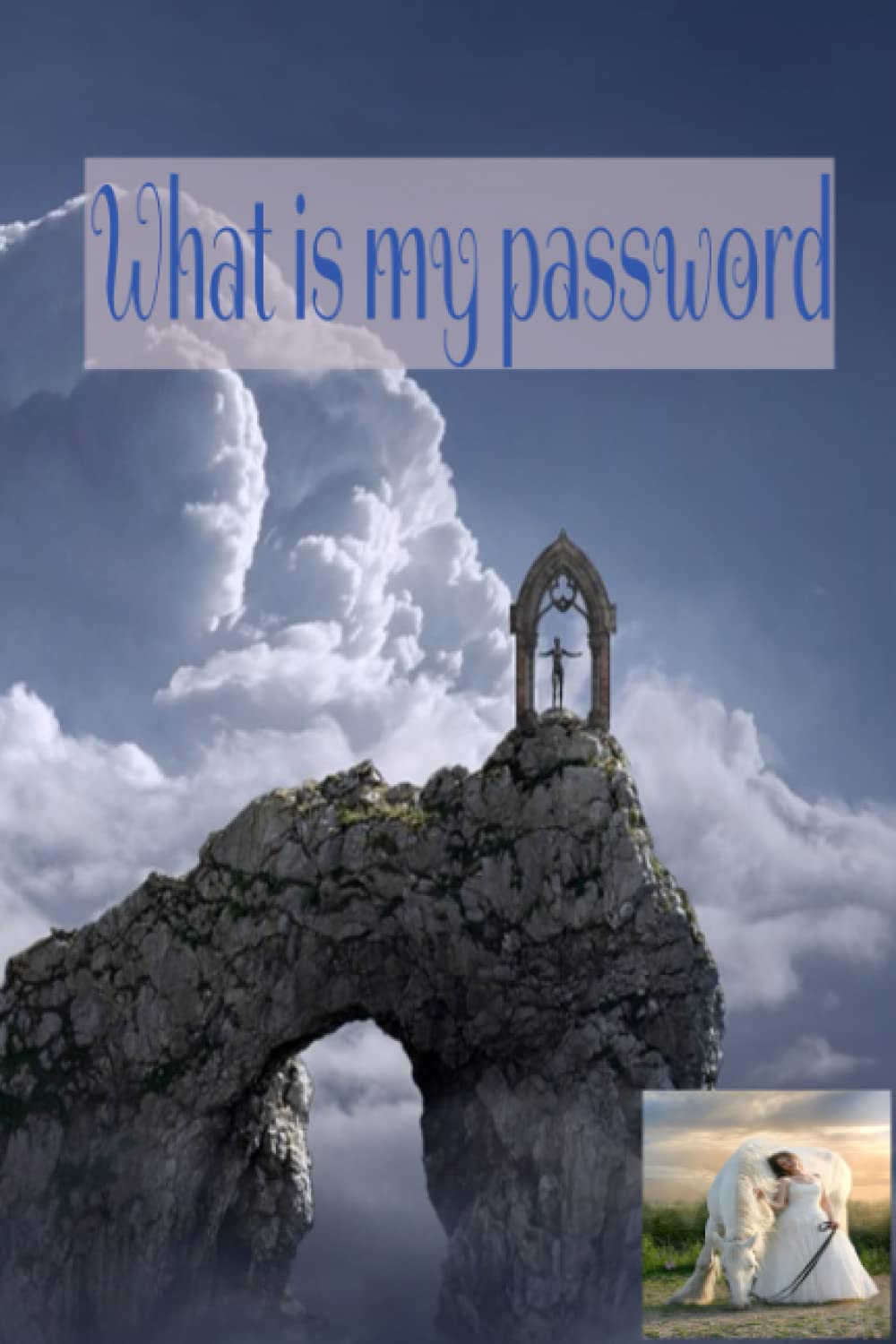 What is my password: personal internet address & password log book