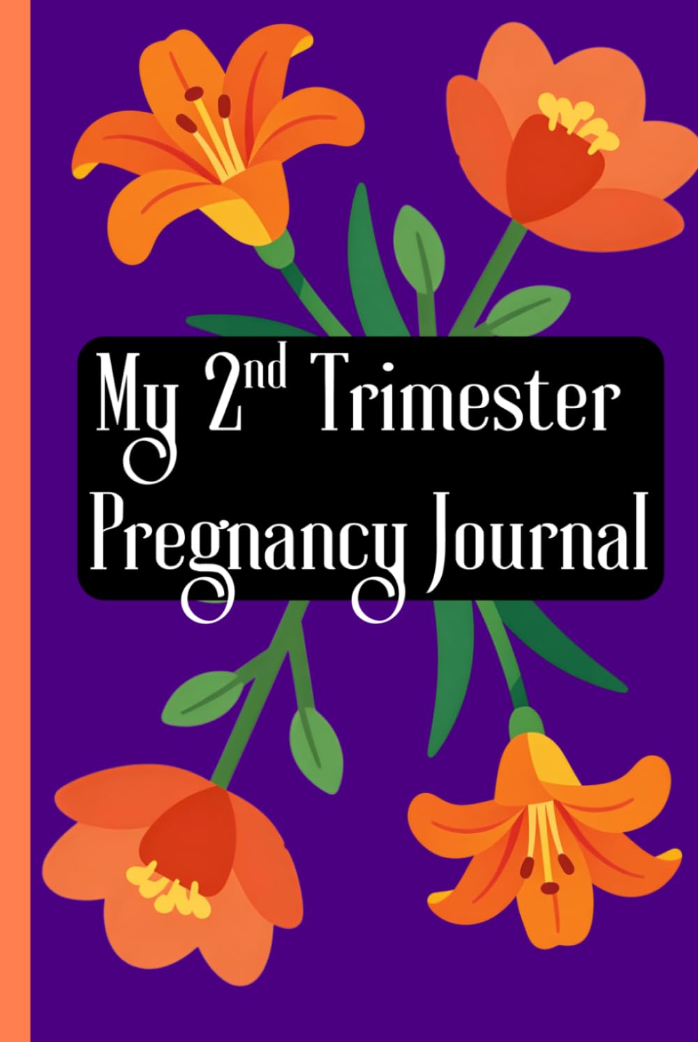 My 2nd Trimester Pregnancy Journal: Elegantly crafted for you to document this 2nd Phase of your Pregnancy Journey